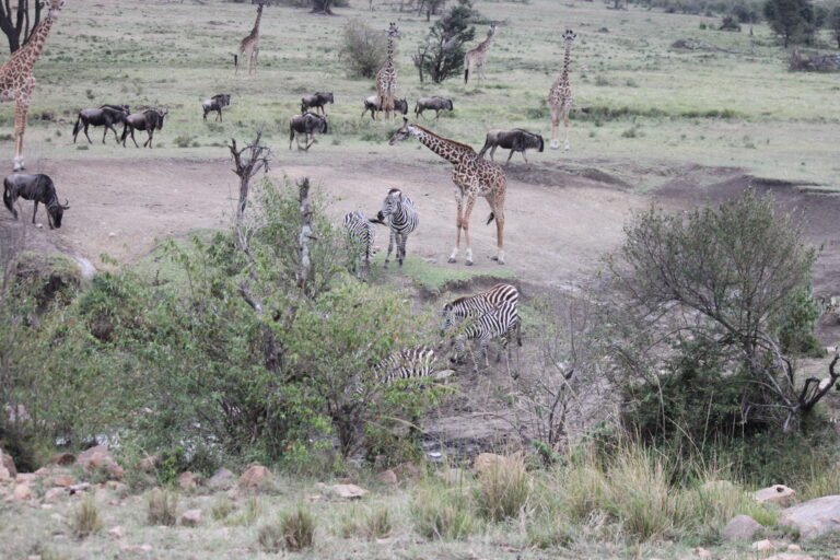 The Case of the Curious Friendship