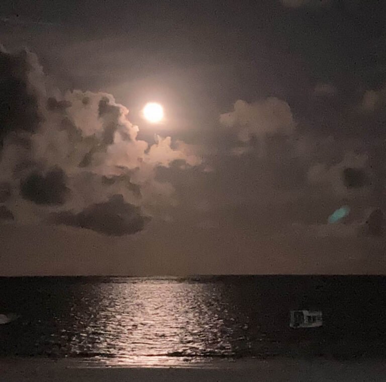 Silver Night & Pink Moon: Diani After Dark