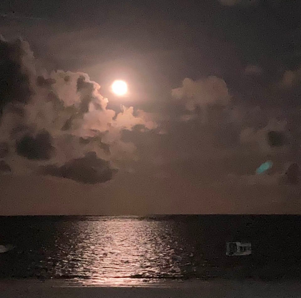 Silver Night & Pink Moon: Diani After Dark