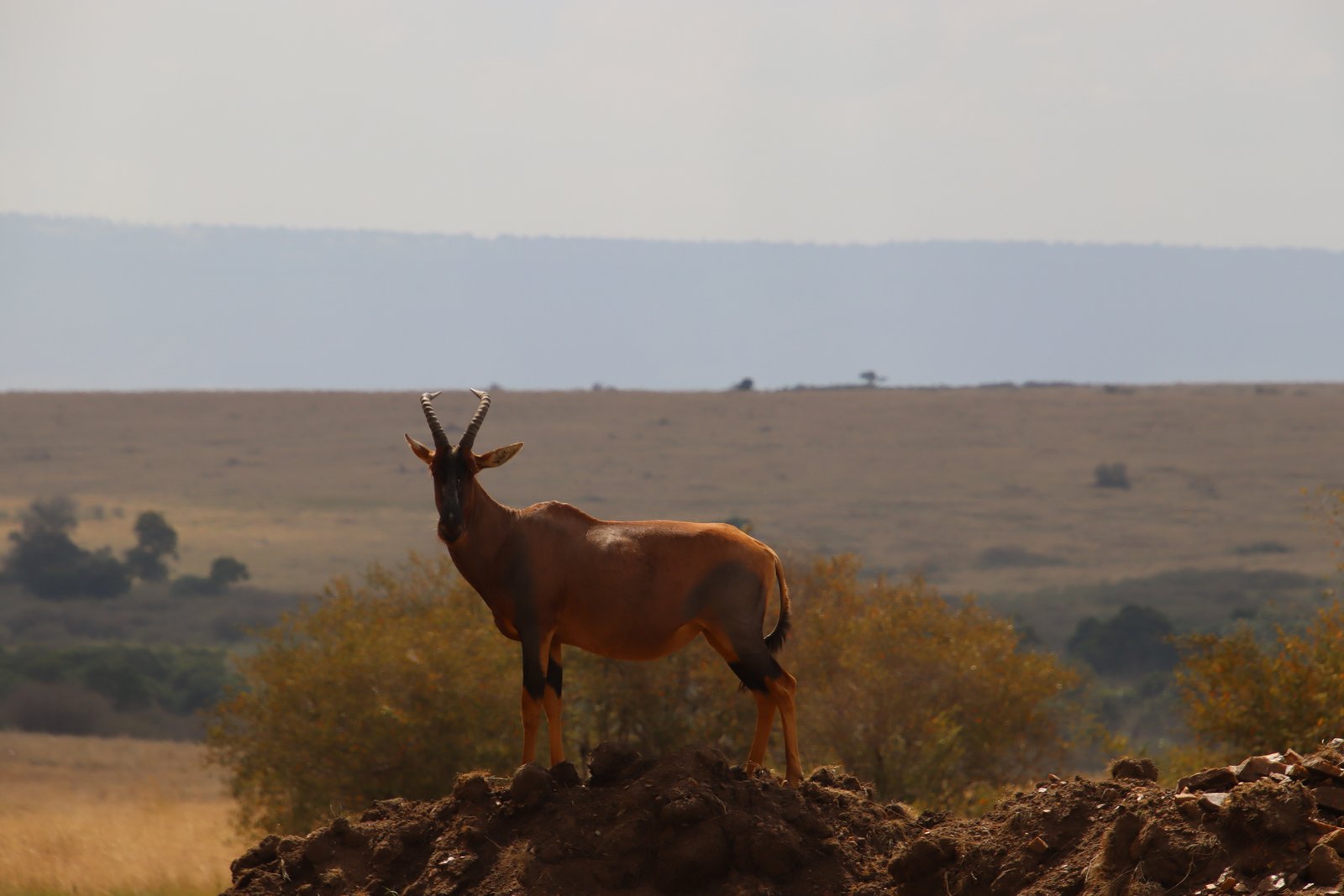 The Lost Pleasure of Letter Writing