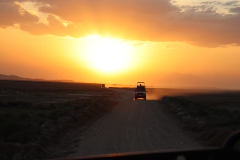 Palettes of the Safari Sky