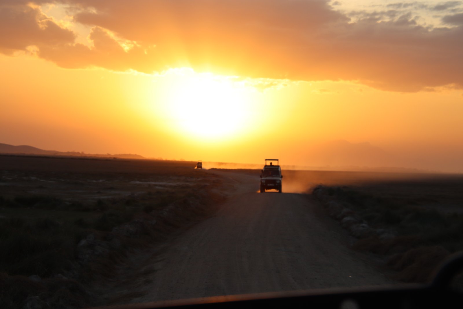 Palettes of the Safari Sky